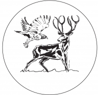 Torn Hawk/Black Deer - L.I.E.S. 017.5