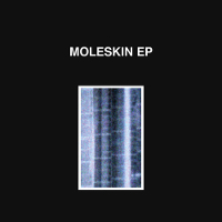 moleskin-200
