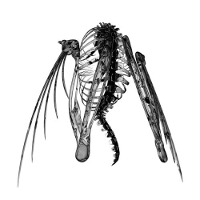 Lotic - Heterocetera (Triangle)