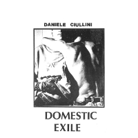 Daniele Ciullini – Domestic Exile (Collected Works 82-86) (Ecstatic)-200