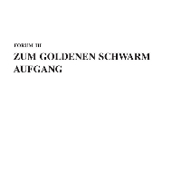 Zum Goldenen Schwarm - Aufgang (Forum)