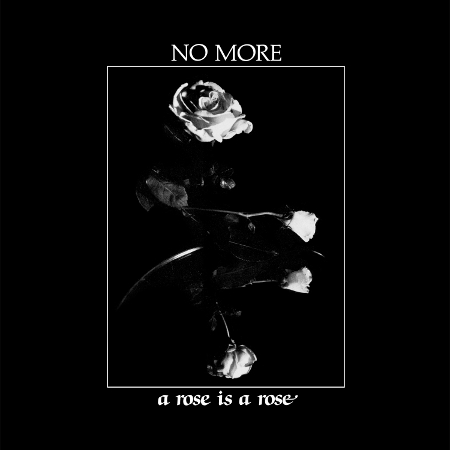 No More - A Rose Is A Rose
