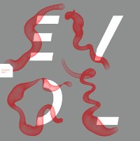 Evol – Flapper That (Diagonal)