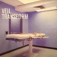 Veil – Transform (Light & Dark)