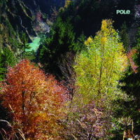 Pole – Wald