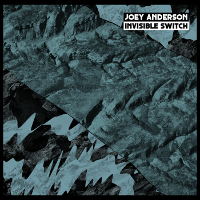 Joey Anderson – Invisible Switch (Dekmantel)