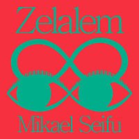 Mikael Seifu – Zelalem (Rvng Intl)