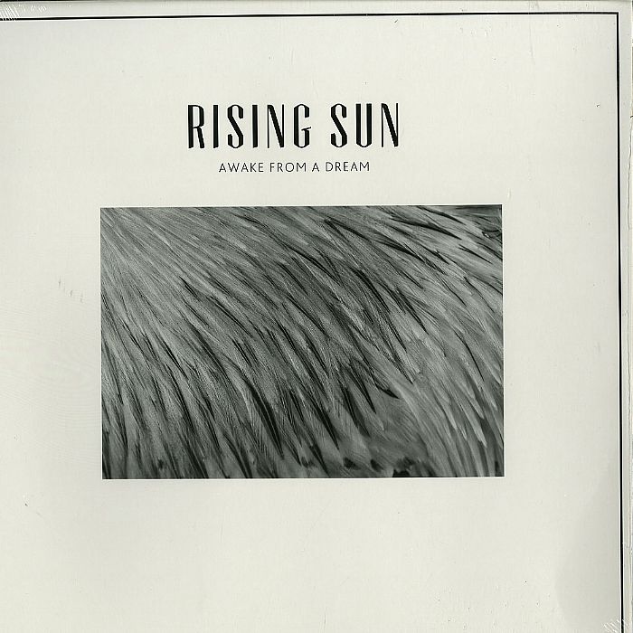 Rising sun art